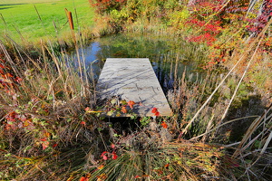 Herbstfarben am Teich