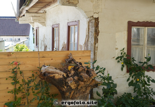 Hervorragende Dachkonstruktion