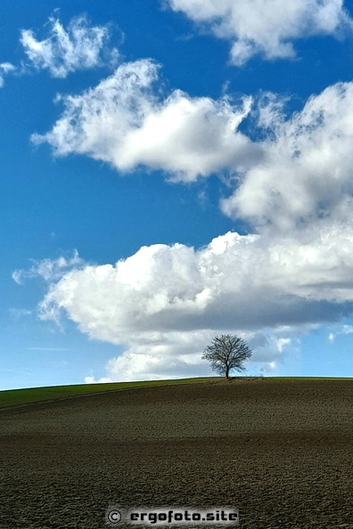 Glöcklberg-Baum-Wolken.jpg