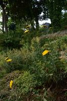 Garten in Oberglaim