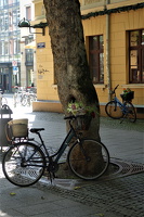 Fahrräder Weimar