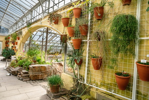 Botanischer Garten- Tropennhaus
