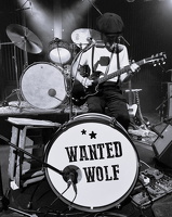Wanted Wolf