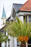 Rathaus mit Palmen