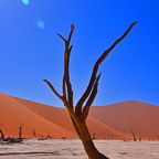 Deadvlei