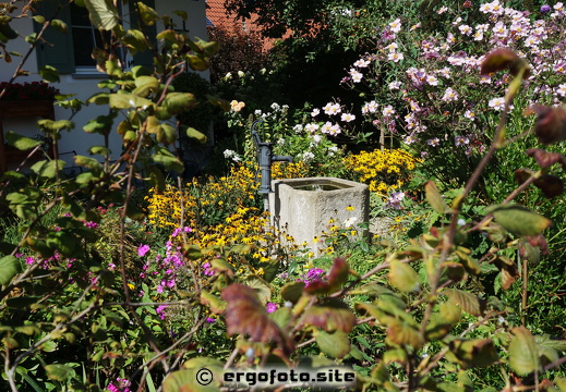 Brunnen