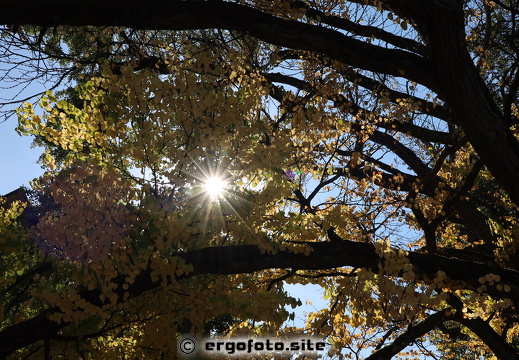 Ergoldinger Bilder