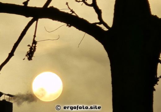 Dezembersonne 