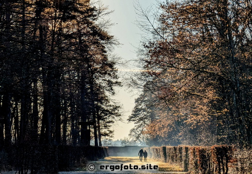Spaziergang 
