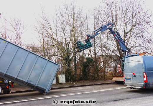Rodungsarbeiten