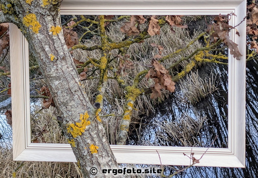 Natur aus dem Rahmen gefallen 