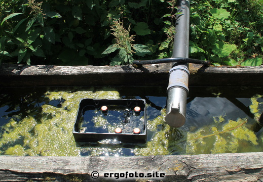 Wasser als Kuehlmittel