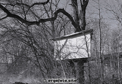 Baumhaus s/w