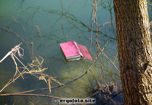 Ausgelesen