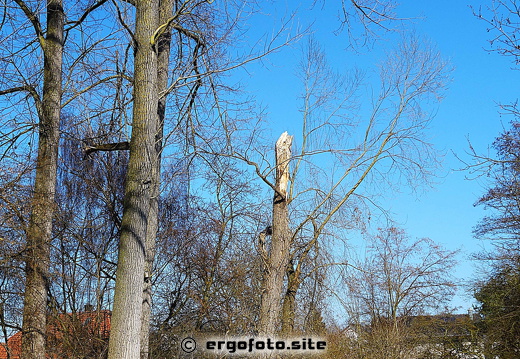 Abgebrochen