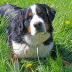 Lucy