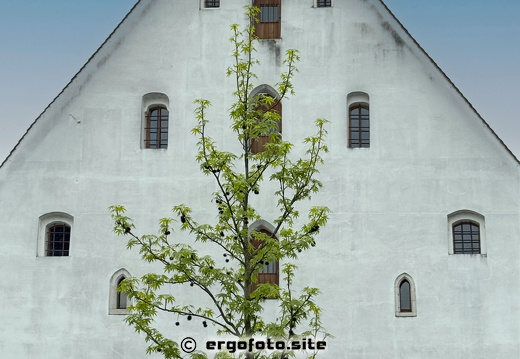 Stadtmuseum Abensberg im Herzogskasten