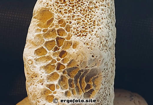 Skulptur