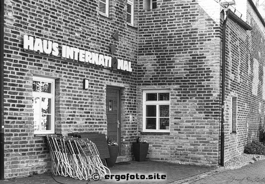 Analog: Haus International LA