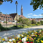 Landshuter Blumenmeer  an der Isar im Ma