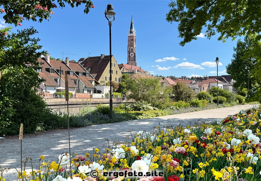 Landshuter Blumenmeer  an der Isar im Ma