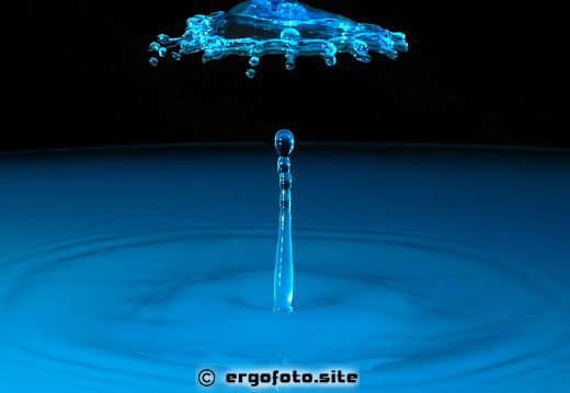Neueste Fotos
