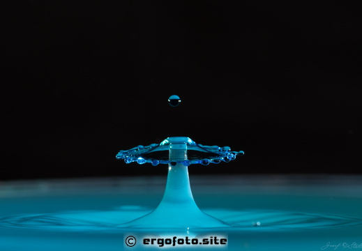 Neueste Fotos