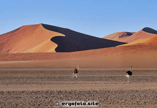 Licht und Schatten - Dünen in Namibia