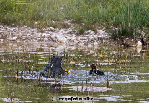 Unruhiges Wasser