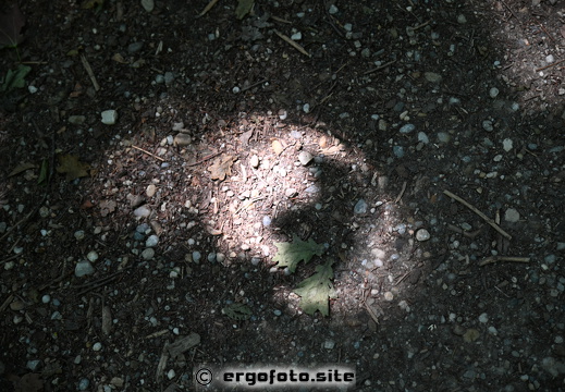 Licht und Dunkel