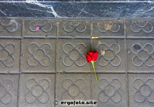 Rote Rose - Grauer Stein