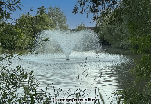 Ergoldinger Bilder