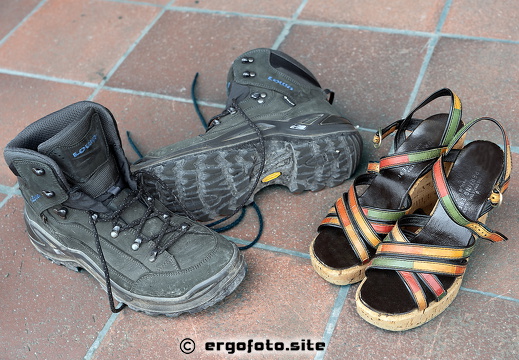 Zweckentsprechende Nutzung