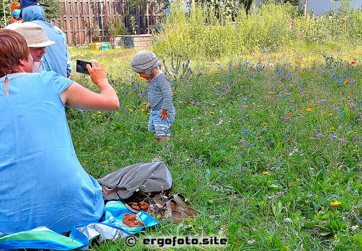 Picknick in Blumenwiese
