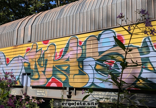 BMW-ZUG am Abstellgleis 