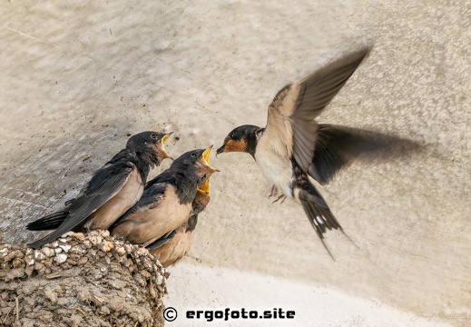 Neueste Fotos