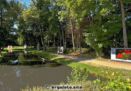 Bilder Garten