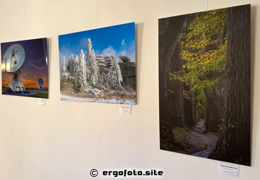 Bilder Ausstellung