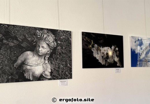 Bilder Ausstellung