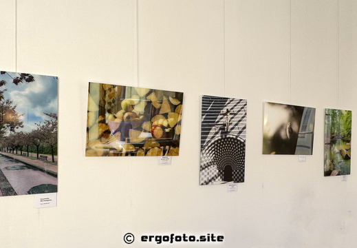 Bilder Ausstellung