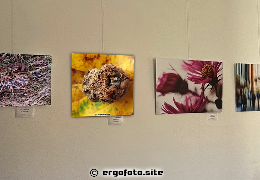Bilder Ausstellung