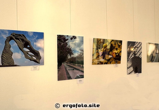 Bilder Ausstellung