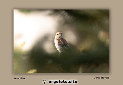 Bilder Ausstellung