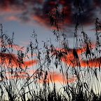 Abendstimmung