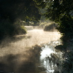 Flutmulde im Morgennebel