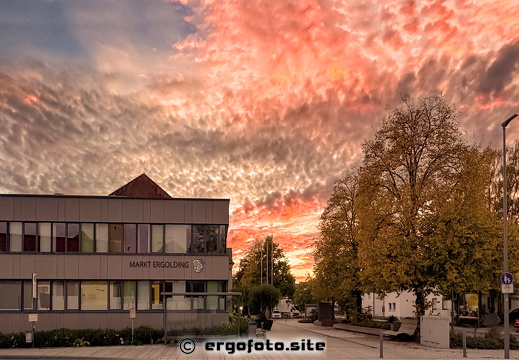Neueste Fotos