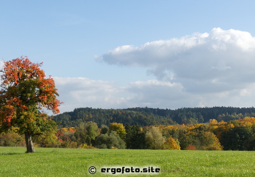 Herbstliches