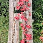 Herbstimpressionen 