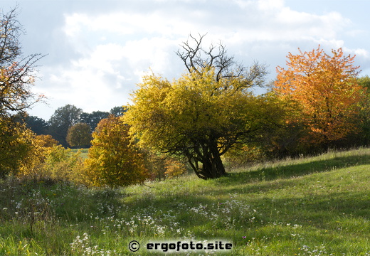 Herbstliches
