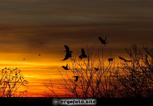 Sonnenuntergang Burg Trausnitz